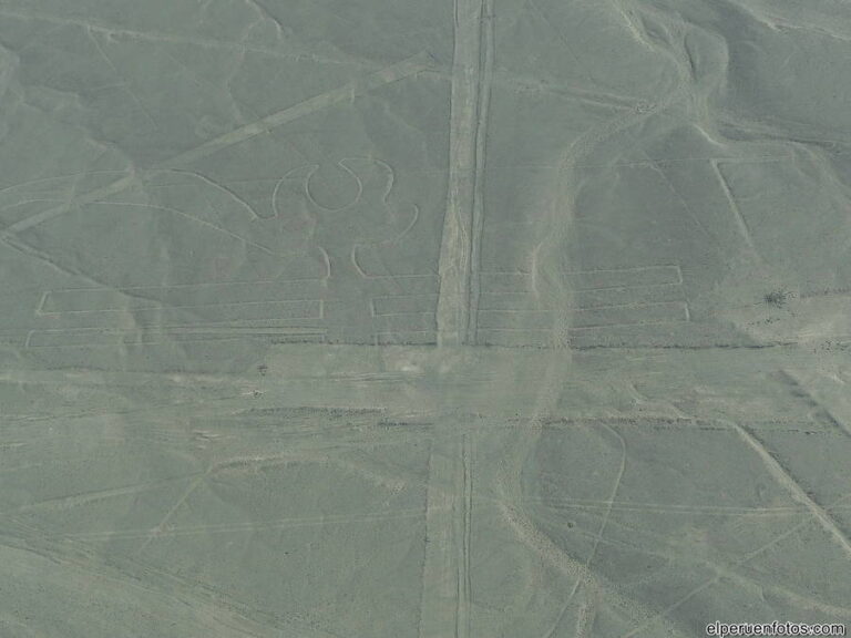 geoglifos de nazca 034